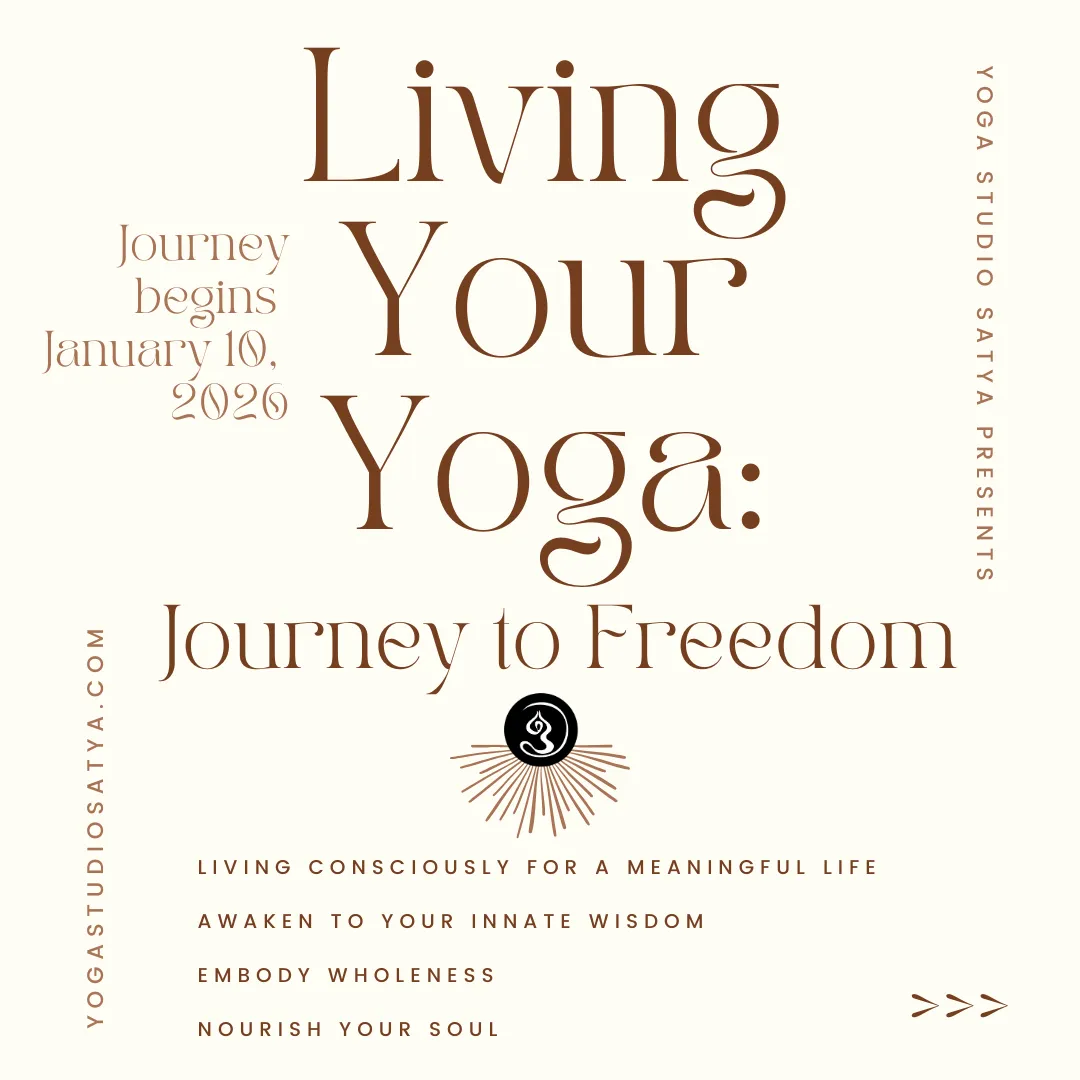 Flyer LYYJ